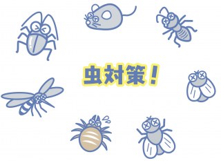 医薬品GDPの倉庫の防虫対策