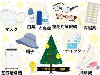 ドライバーの花粉症の薬以外の工夫