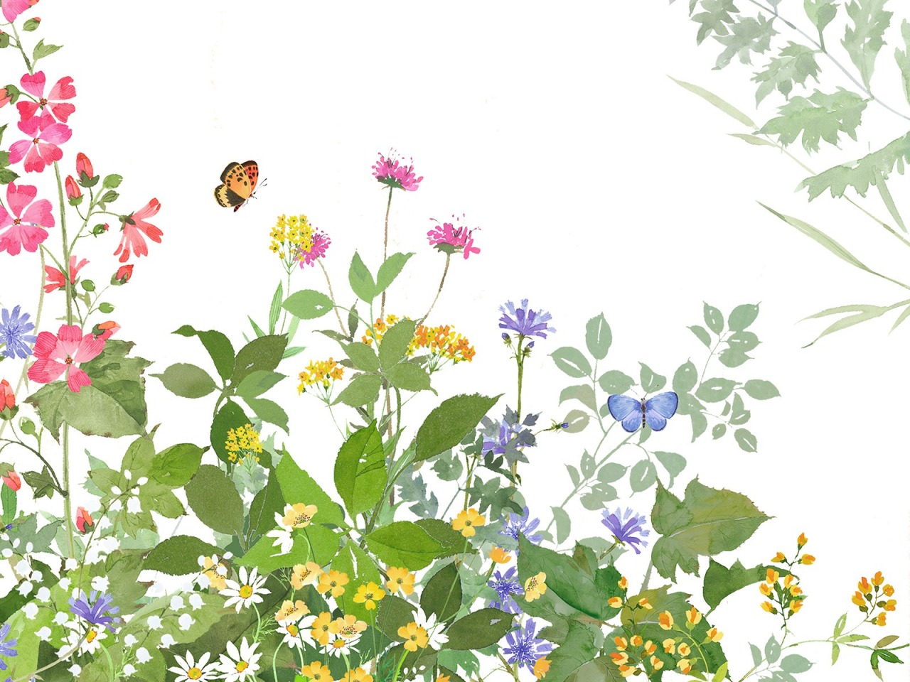 医薬品GDP倉庫まわりの植生