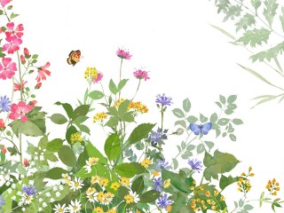 医薬品GDP倉庫まわりの植生