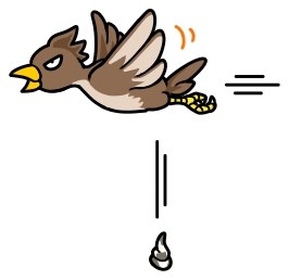 医薬品GDPの鳥対策